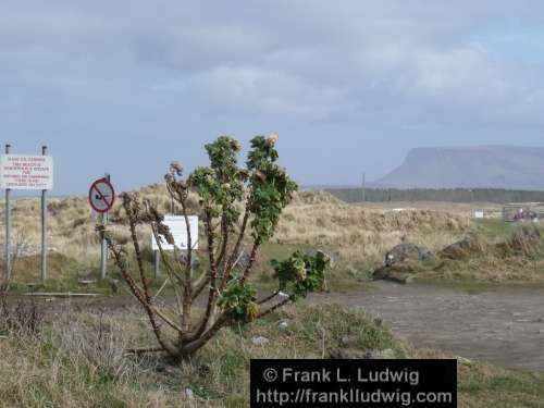 Strandhill